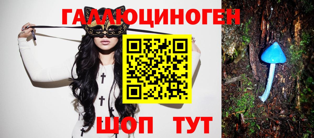 Галлюциногенные грибы MAGIC MUSHROOMS  Вход с VPN  Сланцы 