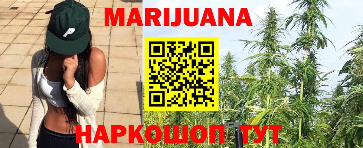 Сланцы  Бошки марихуана SATIVA & INDICA  Канабис гибрид  Вход с VPN  Шишки марихуана план 